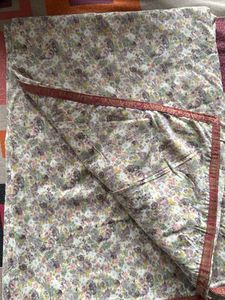Daily Saree