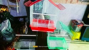 Folding Cage Pijara