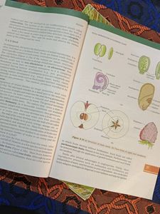 11&amp; 12th Biology Textbook For Neet