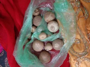 Small Dress...And Supari