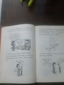 Diary of a Wimpy Kid: The Third Wheel