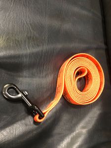 Bright Orange Dog Leash 5 Feet