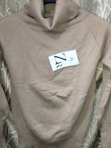 Stylish Tan Turtleneck Sweater