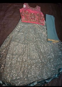 Embroidered Lehenga Choli Set