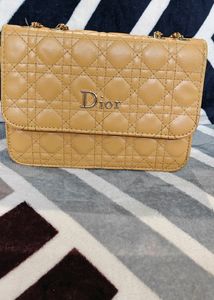 Dior Brand Purse