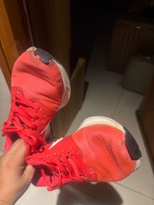 Red Nike Sport Shoes