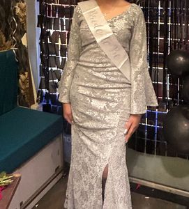 Elegant Silver Patterned Dress
