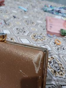Elegant Evening Clutch