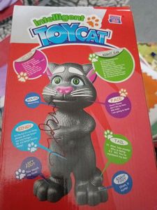 Toy Cat