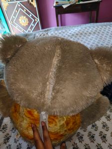 Cute Teddy Bear