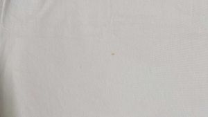 Basic unisex White V-Neck Tee
