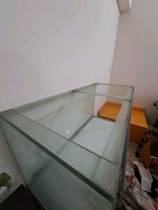Glass Aquarium With Black Lid