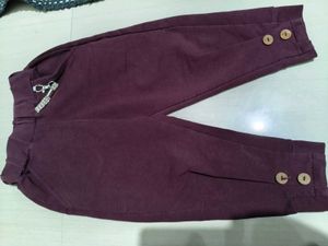 Stylish Purple Pants