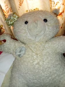 Cute Teddy Bar