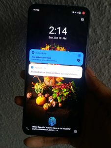 Vivo V21 5g