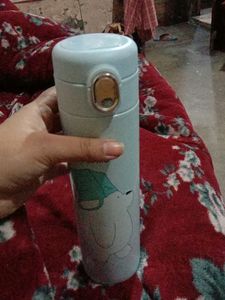 Water Bottle 🌊