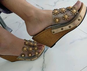 Gold Transparent Heels..
