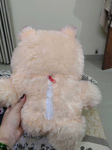 Cute Plush Teddy Bear