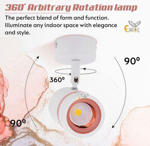 LED Wall Spotlight Warm