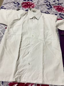 Classic White Shirt Bundle