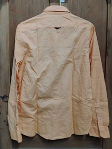 Turtle Light Orange Casual Shirt - Size 38