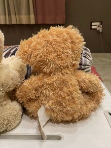 Cute Teddy Bear Trio