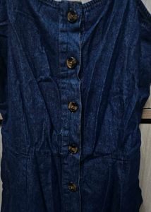 Denim Button-Down Dress