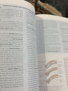 Thorax and Abdomen - 16th Edition