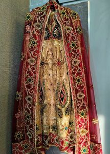 Lehenga Choli Set