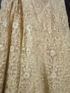 Gorgeous Lehenga Choli