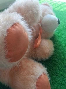 Kids Teddy Bear Soft Toys