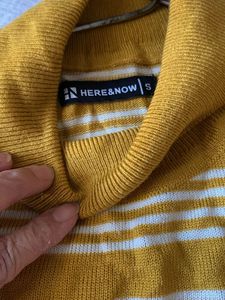 Striped Turtleneck Sweater