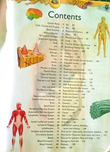 Encyclopedia Of Human Body (Rare To Find)