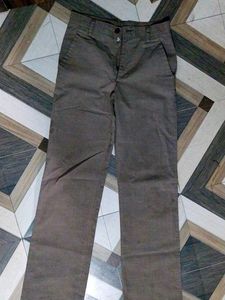 Brown Striped Casual Pants