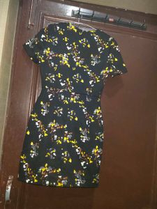 Women Imported Pants And Dress Free