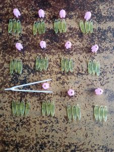 Combo: Flowers, Leaves, Gems, Tweezers, LED Light