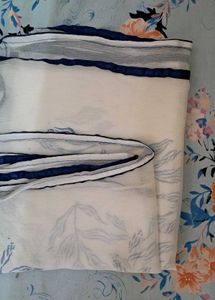 Blue &amp; White Salwar Kameez Dupatta