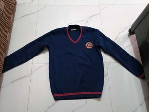 Stylish School Blue Sweater