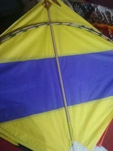 25 Kite