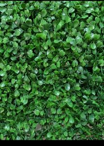 Artificial Grass Channa Floor/Garden mat
