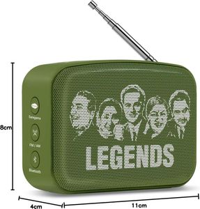 Saregama Carvaan Mini Hindi 2.0- Music Player with