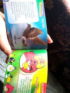 Birds Fact Digest 📖