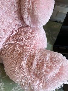 Teddy Bear (2 Feet) Ht