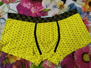 LV Inspired Man's Briefs
