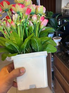 Artificial Plants