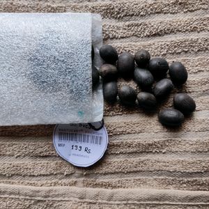 Original Kamal Gatta Lotus Seeds 21 Pcs Lakshmi P