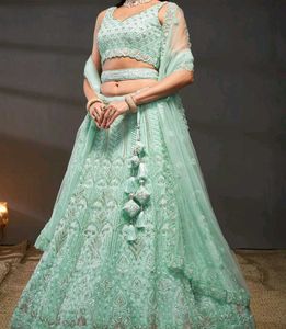 Mint Green Embellished Lehenga Choli
