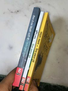 Literature Hindi Mixed Fiction Books
