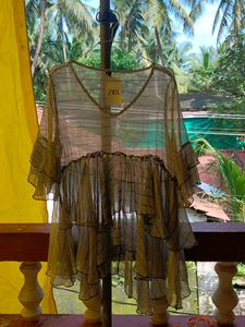 Zara Sheer Ruffle Top