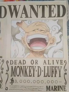 Luffy And Zoro Wanted A4 Poster